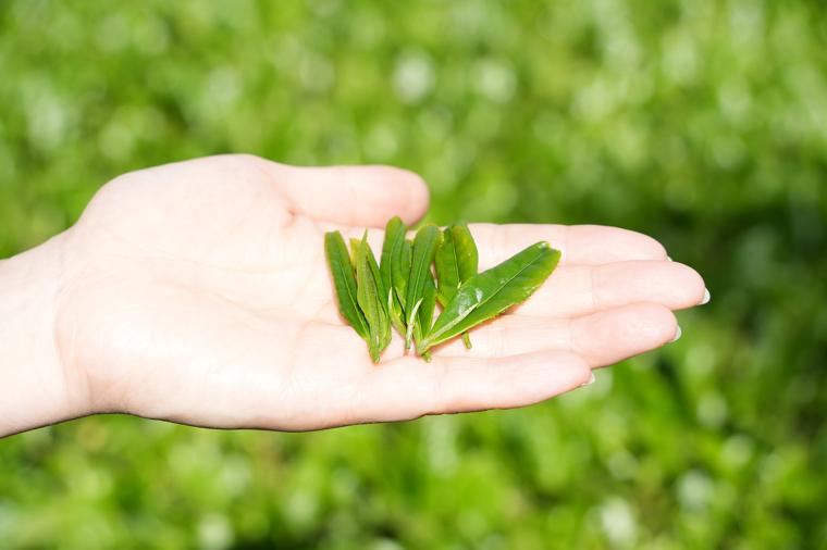 フェアフィールド･バイ･マリオット･京都みなみやましろ