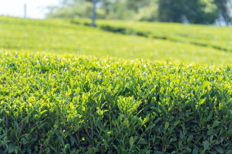 フェアフィールド･バイ･マリオット･京都みなみやましろ