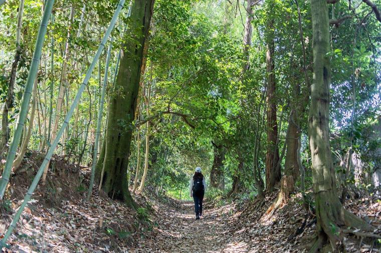 フェアフィールド･バイ･マリオット･京都みなみやましろ