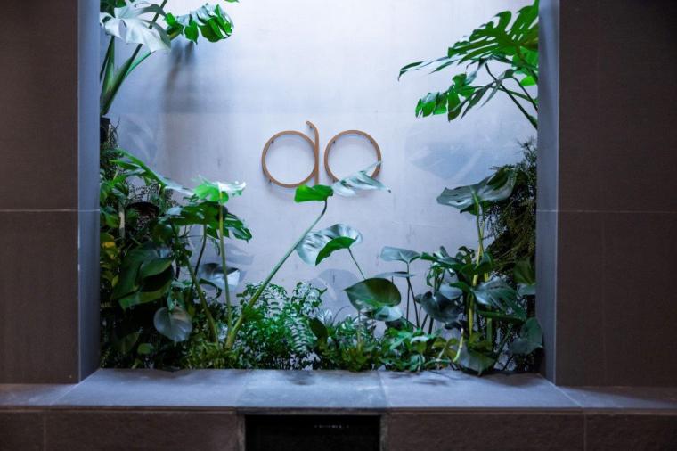 ウェルネスで素の自分に還る。奥河口湖のリゾートホテル「hotel norm.ao」 で過ごすチルなひととき