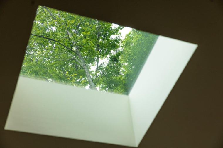 ウェルネスで素の自分に還る。奥河口湖のリゾートホテル「hotel norm.ao」 で過ごすチルなひととき