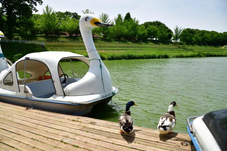 こもれび森のイバライド