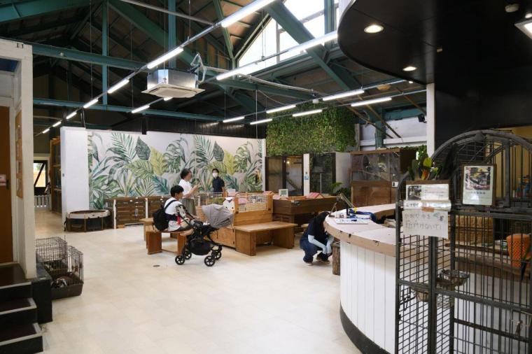 こもれび森のイバライド