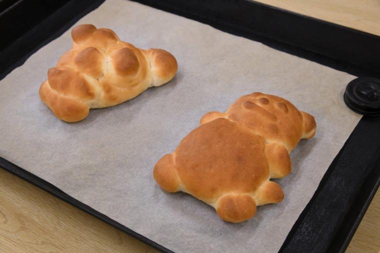 こもれび森のイバライド