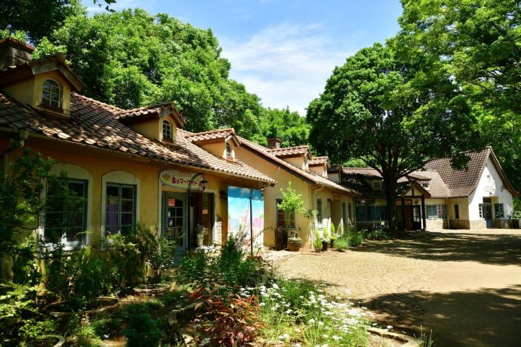 こもれび森のイバライド