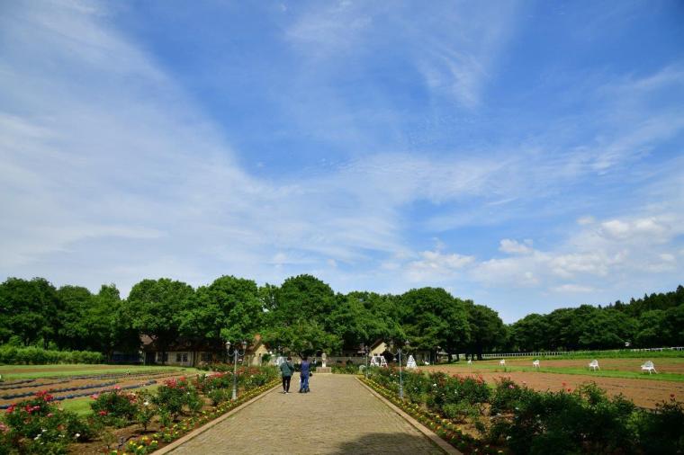 こもれび森のイバライド