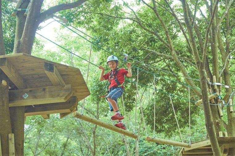 こもれび森のイバライド