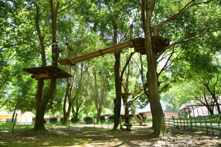 こもれび森のイバライド