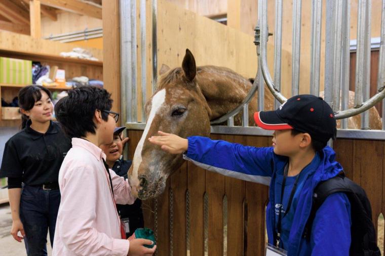 メタセコイアと馬の森
