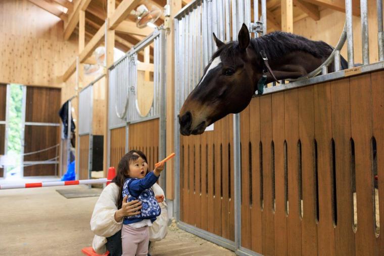 メタセコイアと馬の森