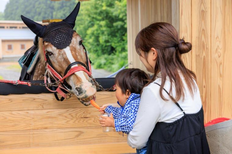 メタセコイアと馬の森