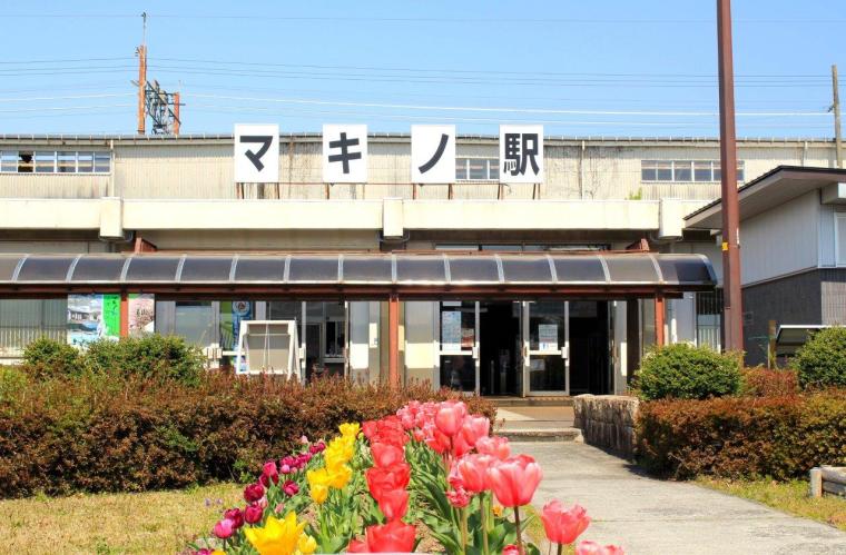 メタセコイアと馬の森