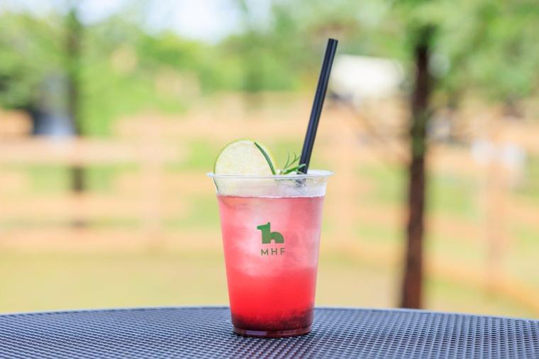 メタセコイアと馬の森