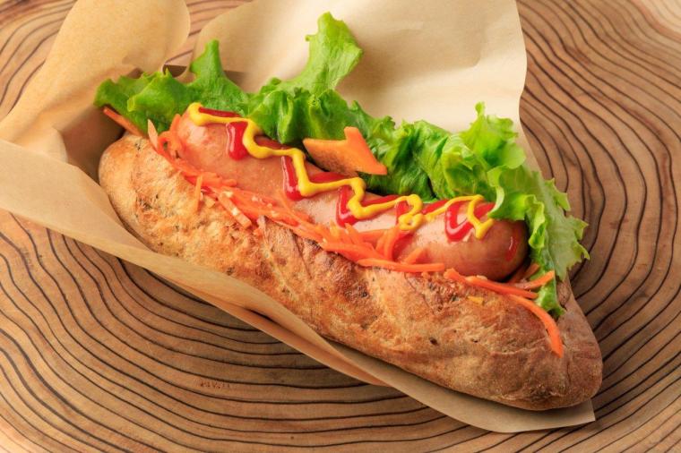 メタセコイアと馬の森