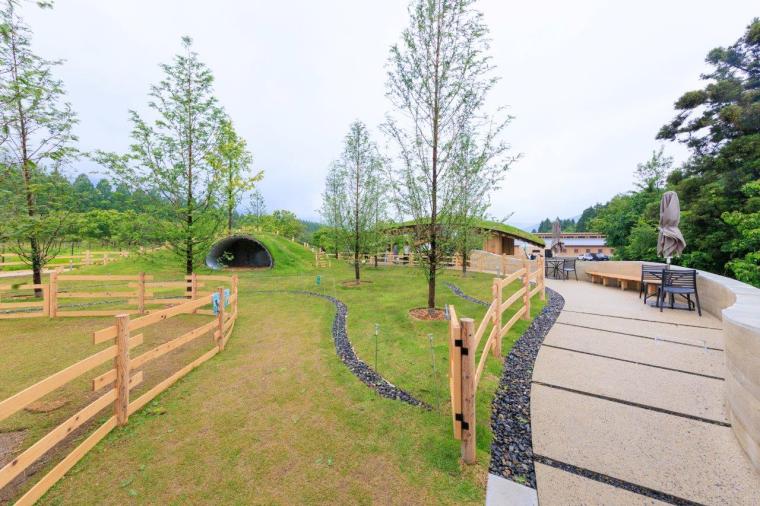 メタセコイアと馬の森