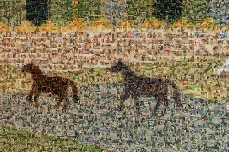 メタセコイアと馬の森