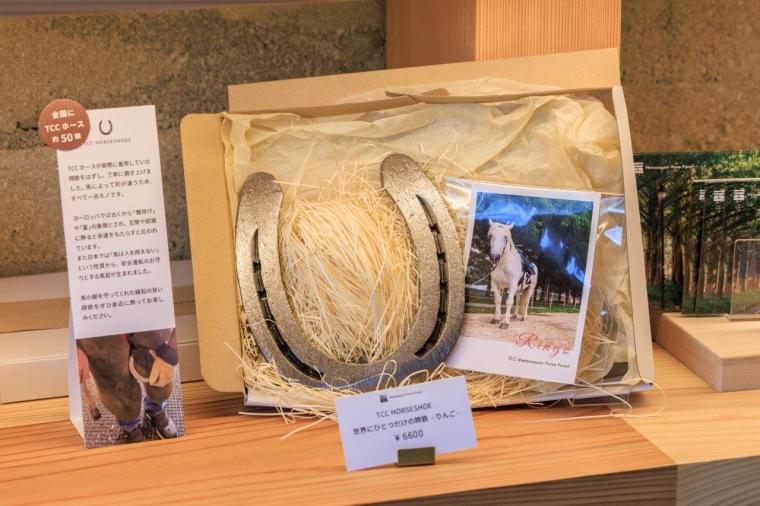 メタセコイアと馬の森