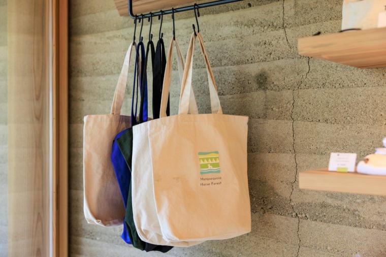 メタセコイアと馬の森