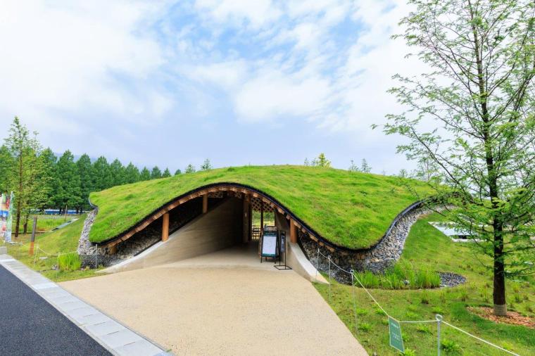 メタセコイアと馬の森