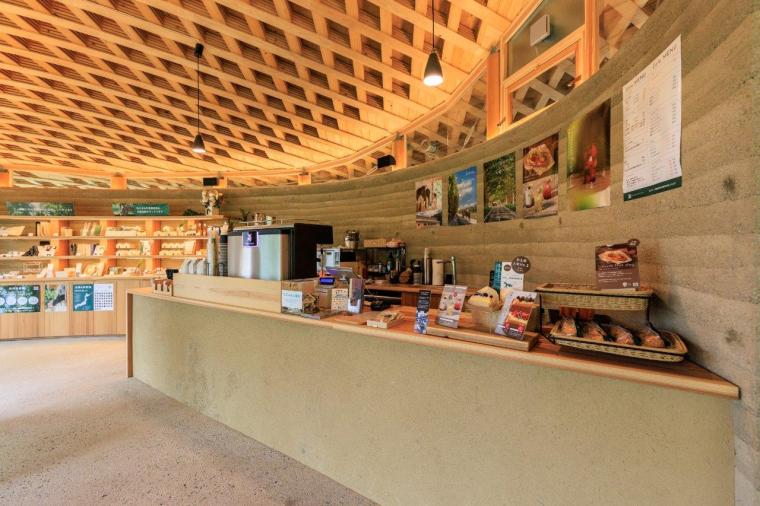 メタセコイアと馬の森