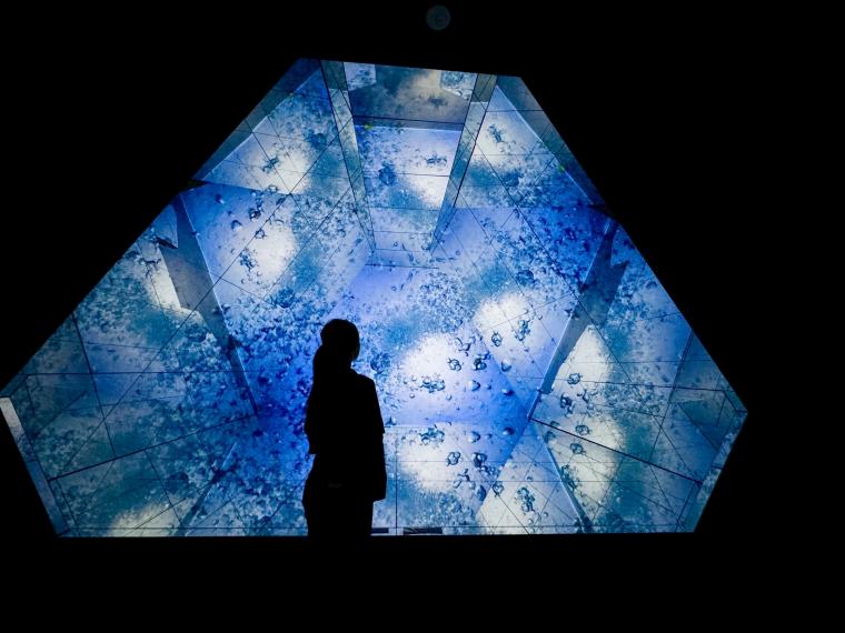 Little Universe OKINAWA