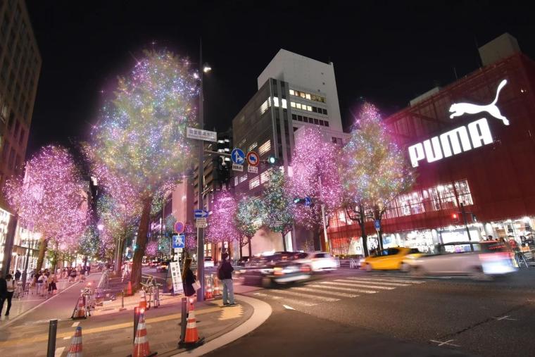 「御堂筋イルミネーション2025」南エリア