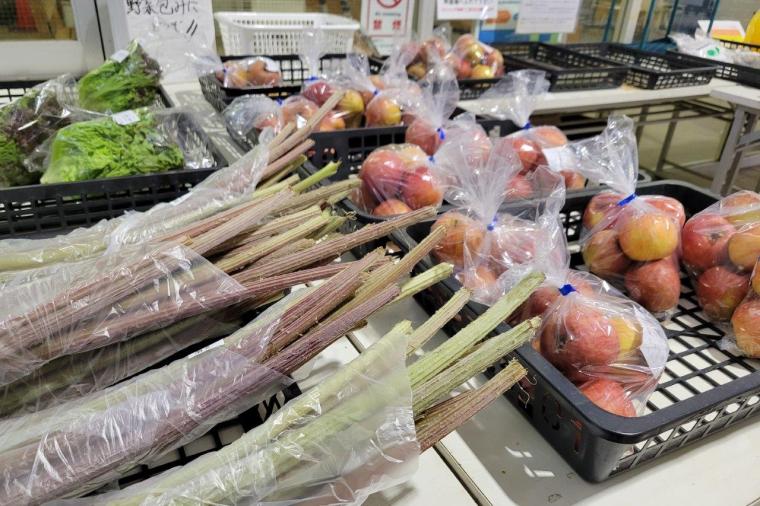 しなの鉄道観光列車「ろくもん」