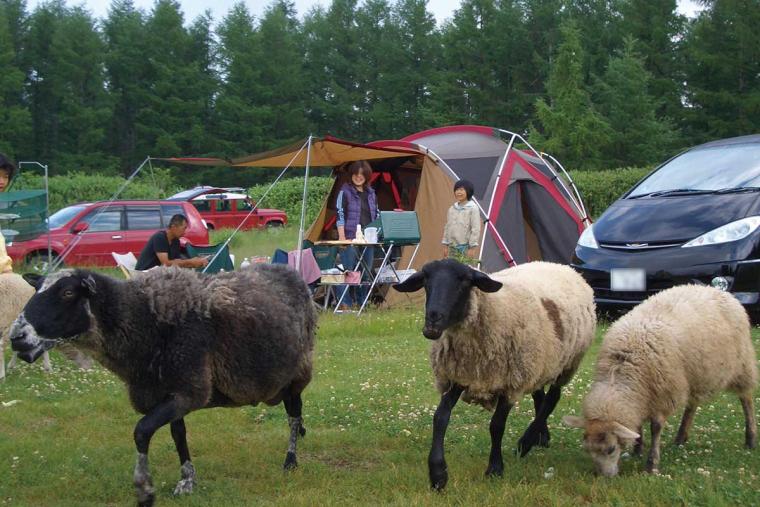 星に手の届く丘キャンプ場