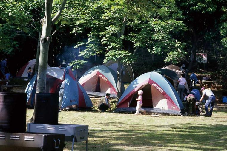 内浦山県民の森