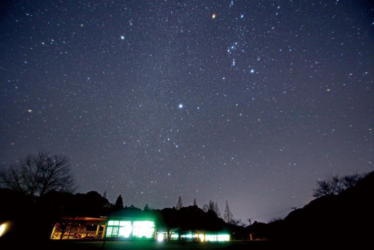 内浦山県民の森