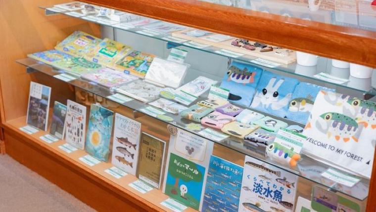 【無料】子連れおすすめポイント 3 選も！「地味？」なんてとんでもない！アクセス良好で自然も満喫の充実スポットを獣医師ママライターが解説｜北海道・札幌市「豊平川さけ科学館」