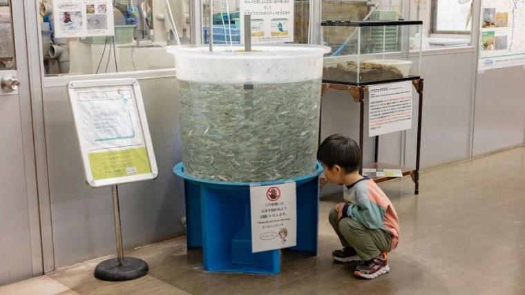 【無料】子連れおすすめポイント 3 選も！「地味？」なんてとんでもない！アクセス良好で自然も満喫の充実スポットを獣医師ママライターが解説｜北海道・札幌市「豊平川さけ科学館」