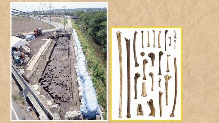 豚肉＆洋がらしでおなじみ“室蘭やきとり”の定説が覆る？とことん調べてみると…