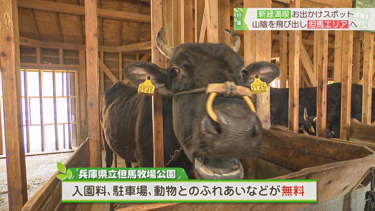 兵庫県にある、大型遊具や博物館、動物とのふれあいが無料で楽しめるお得スポット！