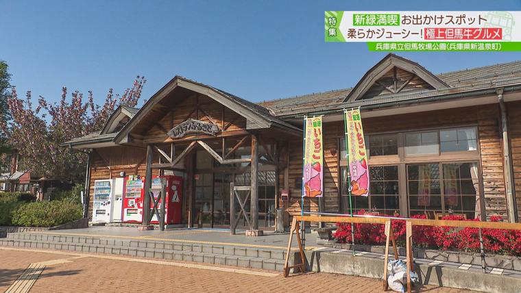 兵庫県にある、大型遊具や博物館、動物とのふれあいが無料で楽しめるお得スポット！