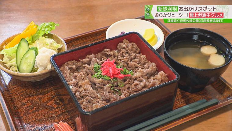 兵庫県にある、大型遊具や博物館、動物とのふれあいが無料で楽しめるお得スポット！