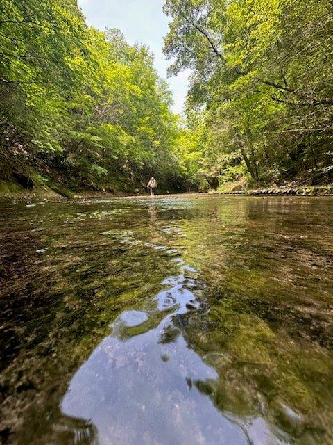 「ようこそ、マチュピチュへ」宇佐市で出会う南米の絶景と「天空の市」