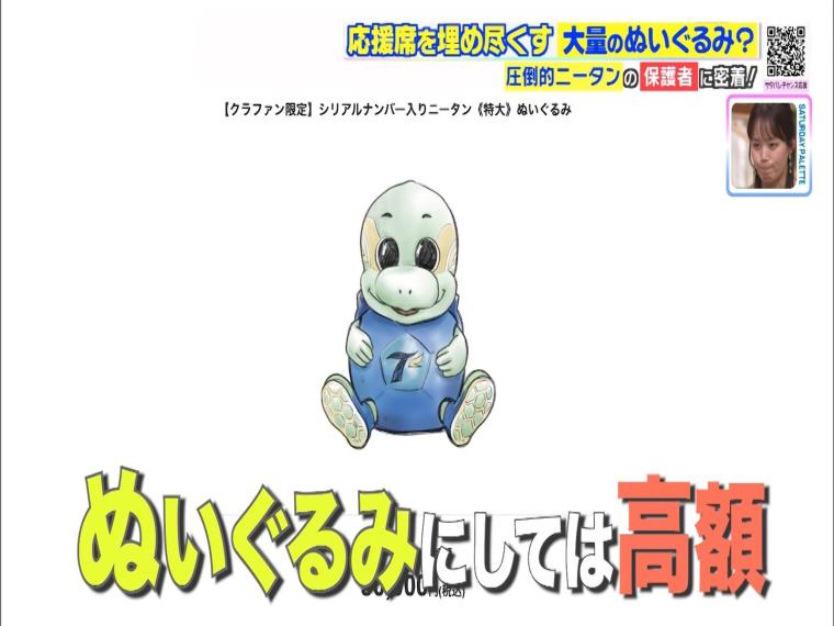 サッカー界で話題の「圧倒的ニータン」観客席にひしめく大量のもふもふ