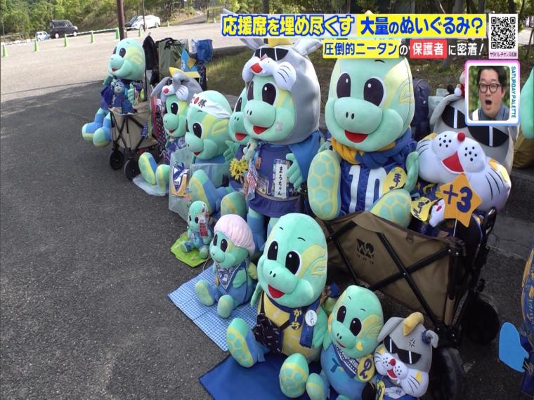 サッカー界で話題の「圧倒的ニータン」観客席にひしめく大量のもふもふ