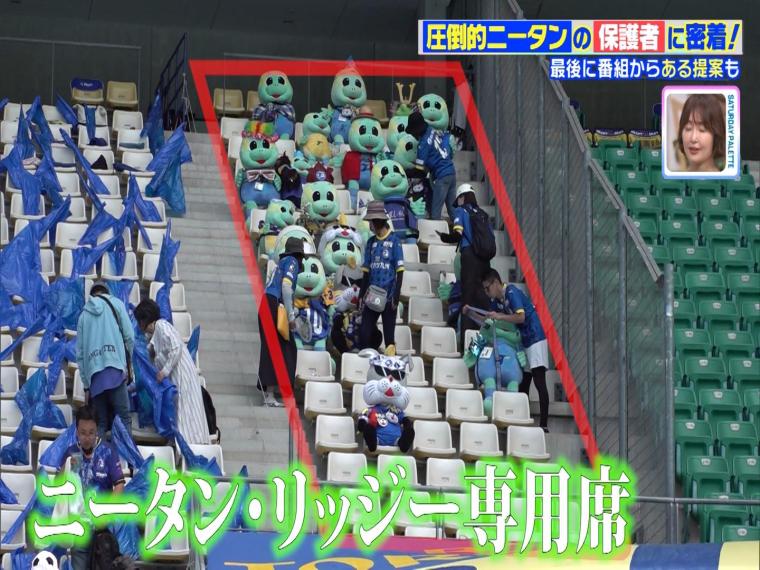 サッカー界で話題の「圧倒的ニータン」観客席にひしめく大量のもふもふ