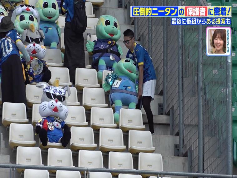 サッカー界で話題の「圧倒的ニータン」観客席にひしめく大量のもふもふ