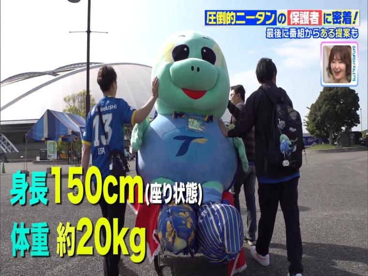 サッカー界で話題の「圧倒的ニータン」観客席にひしめく大量のもふもふ