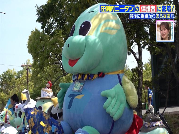 サッカー界で話題の「圧倒的ニータン」観客席にひしめく大量のもふもふ