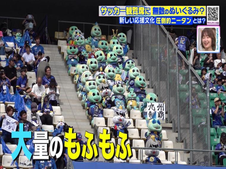 サッカー界で話題の「圧倒的ニータン」観客席にひしめく大量のもふもふ
