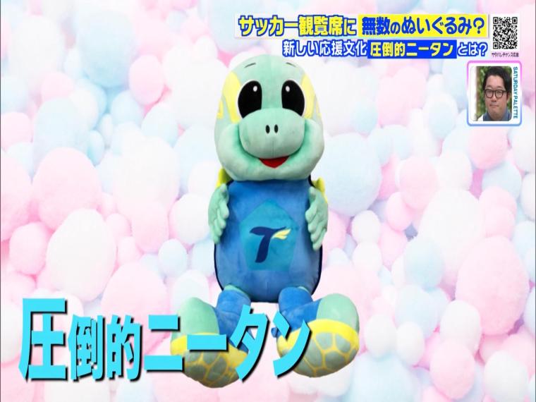 サッカー界で話題の「圧倒的ニータン」観客席にひしめく大量のもふもふ