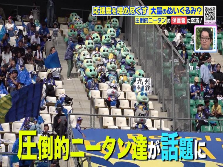 サッカー界で話題の「圧倒的ニータン」観客席にひしめく大量のもふもふ