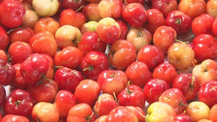 【沖縄】暑い季節にぴったり！初夏の「旬モノグルメ」