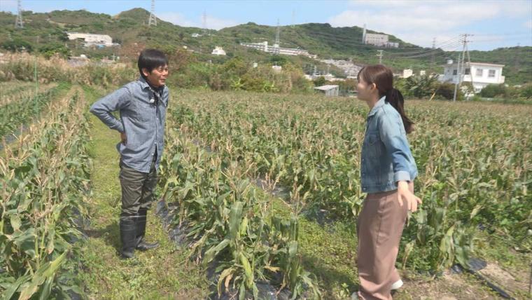 【沖縄】暑い季節にぴったり！初夏の「旬モノグルメ」