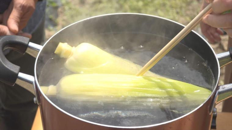 【沖縄】暑い季節にぴったり！初夏の「旬モノグルメ」
