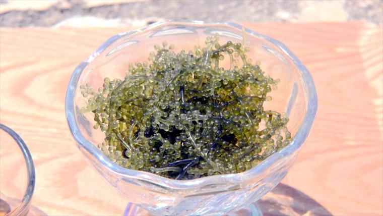 沖縄在住モデル武智志穂がめぐる宮古島の旅。リゾートホテルから島スイーツまでご褒美時間！【ウィンウィン放送 1000 回記念】